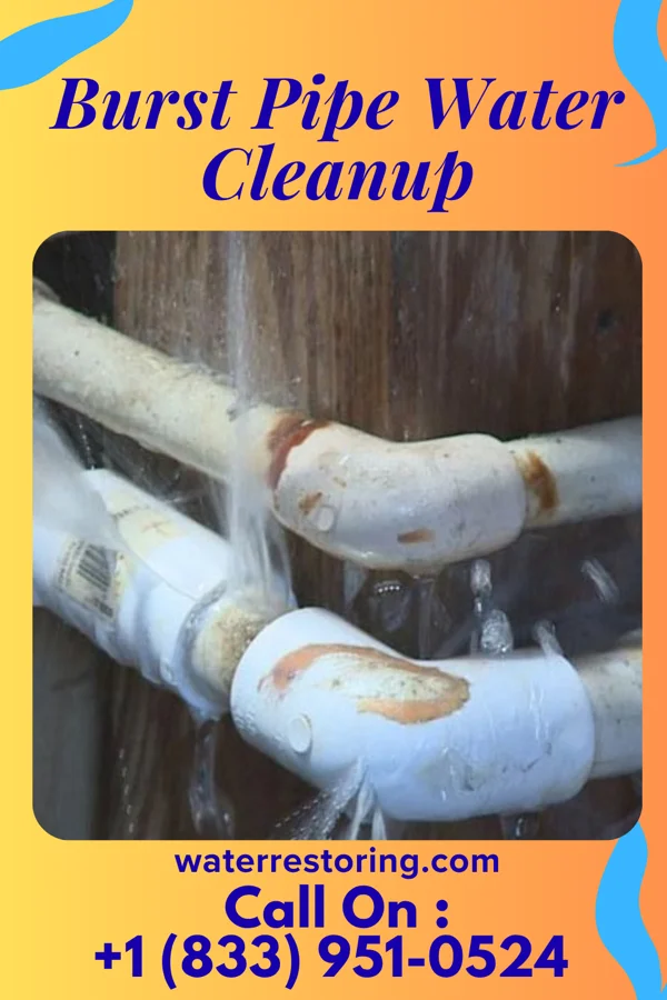 Burst Pipe Water Cleanup in Inez, KY