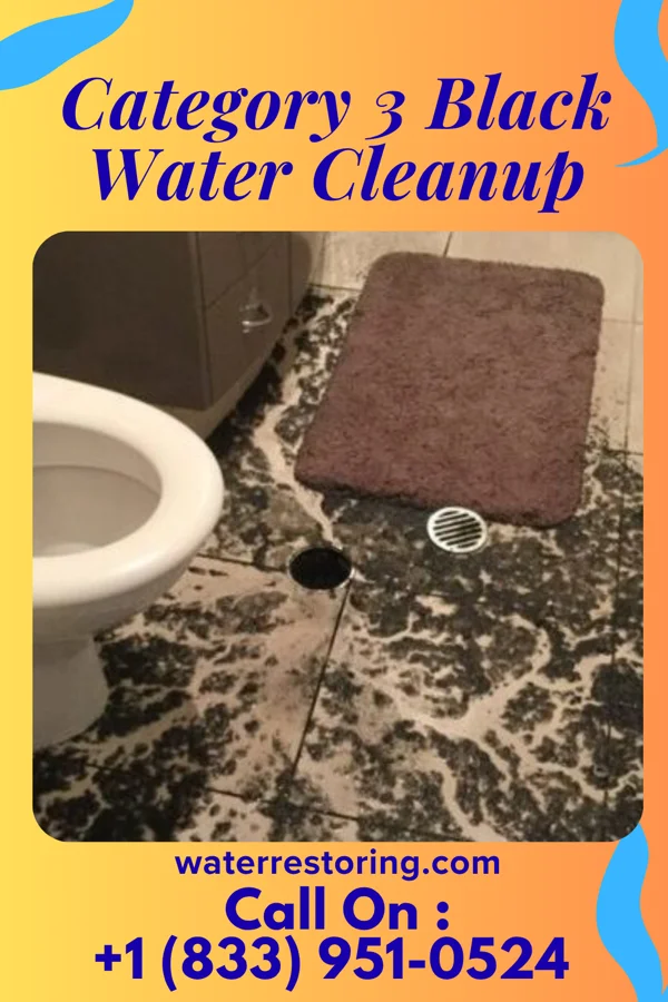 Category 3 Black Water Cleanup in Inez, KY