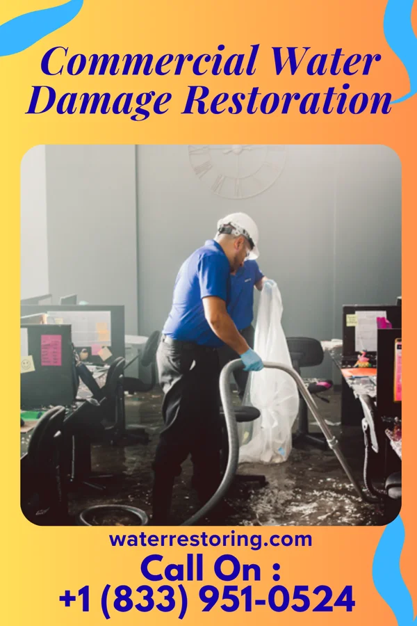 Commercial Water Damage Restoration in Inez, KY