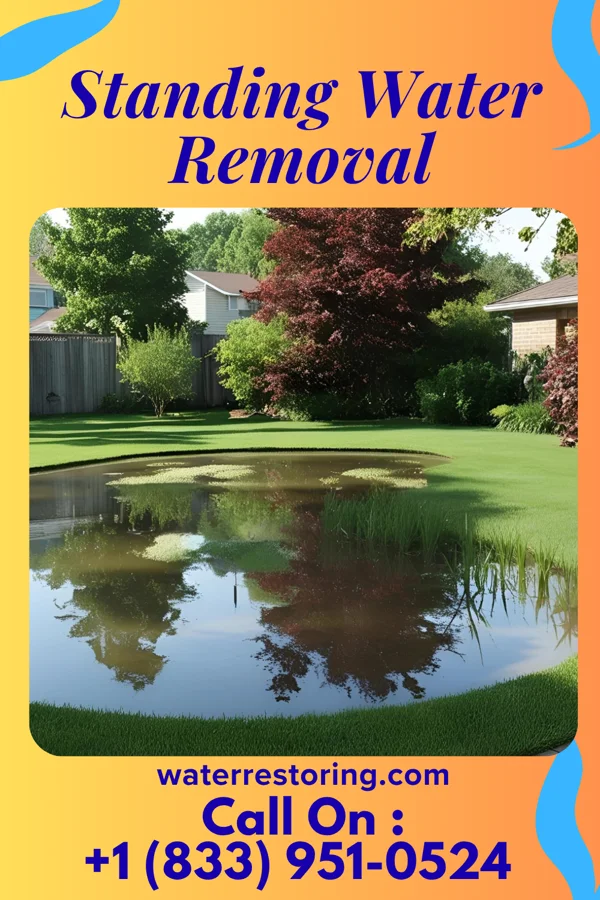 Standing Water Removal in Inez, KY